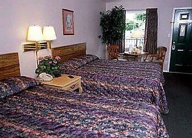 Surrey Inn Branson Kamer foto