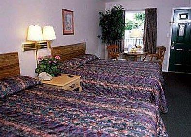 Surrey Inn Branson Kamer foto